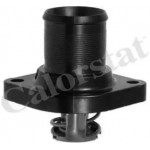 Термостат (вир-во Vernet) 