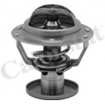 Термостат (пр-во Vernet) 