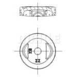 Поршень (виробн. Mahle) 