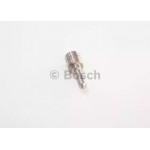 Розпилювач дизель (вир-во Bosch) 