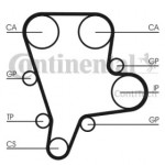 Ремінь зубчастий грм (Ви-во ContiTech) 