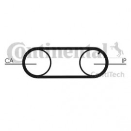 Ремінь зубчастий грм (Ви-во ContiTech)