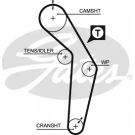Ремінь зубч. ГРМ Z=147 (вир-во Gates)