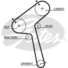 Ремінь зубч. ГРМ Z=143 (вир-во Gates)