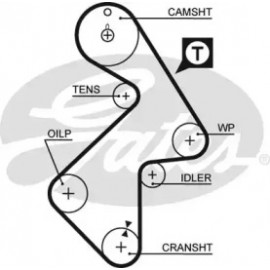 Ремінь зубч. ГРМ Z=163 (вир-во Gates)