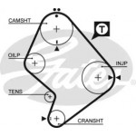 Ремінь зубч. ГРМ Z=129 (вир-во Gates) 