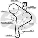 Ремінь зубч. ГРМ Audi, VW Golf, Passat, T4 1.9d Z=137 (вир-во Gates) 