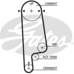 Ремінь зубч. ГРМ Z=113 (вир-во Gates) 