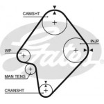 Ремінь зубч. ГРМ Z=164 (вир-во Gates) 