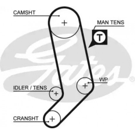 Ремінь зубч. ГРМ Audi A6, VW Transp T4, LT 28 2.4,2.5td Z=122 (вир-во Gates)