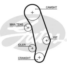 Ремінь зубч. ГРМ Z=124 (вир-во Gates)