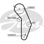 Ремінь зубч. ГРМ Z=121 (вир-во Gates) 