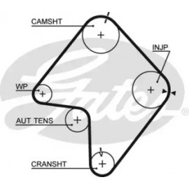 Ремень зубч. ГРМ Z=162 (пр-во Gates)