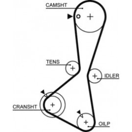 Ремінь зубч. ГРМ Z=124 (вир-во Gates)