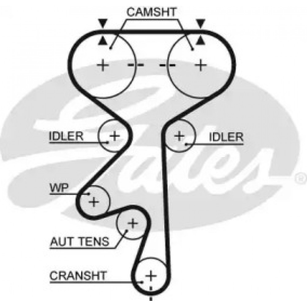 Ремень зубч. ГРМ CHEVROLET, DAEWOO, OPEL 1.8, 2.0 Z=169 (пр-во Gates)