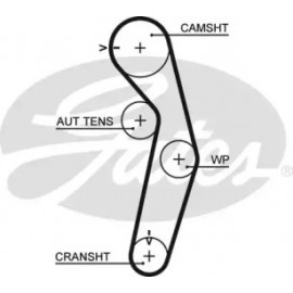 Ремінь зубч. ГРМ Z = 116 Розпродаж (вир-во Gates)