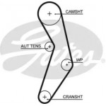 Ремінь зубч. ГРМ Z=124 (вир-во Gates) 