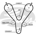 Ремінь зубч. ГРМ Z=207 (вир-во Gates) 