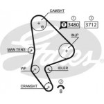 Ремінь зубч. ГРМ Z=143 (вир-во Gates) 