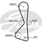 Ремінь зубч. ГРМ Z=122 (вир-во Gates) 