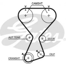 Ремень зубч. ГРМ Z=175 (пр-во Gates)