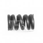 Пружина MINI вихл.сист. (вир-во Fischer) 