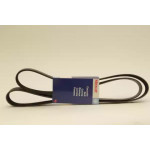 Ремінь поліклин. (вир-во DAYCO) 