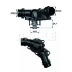 Термостат (вир-во Mahle) 