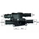 Термостат (вир-во Mahle) 