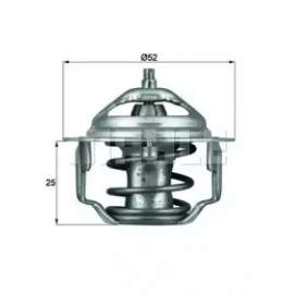 Термостат (вир-во Mahle)